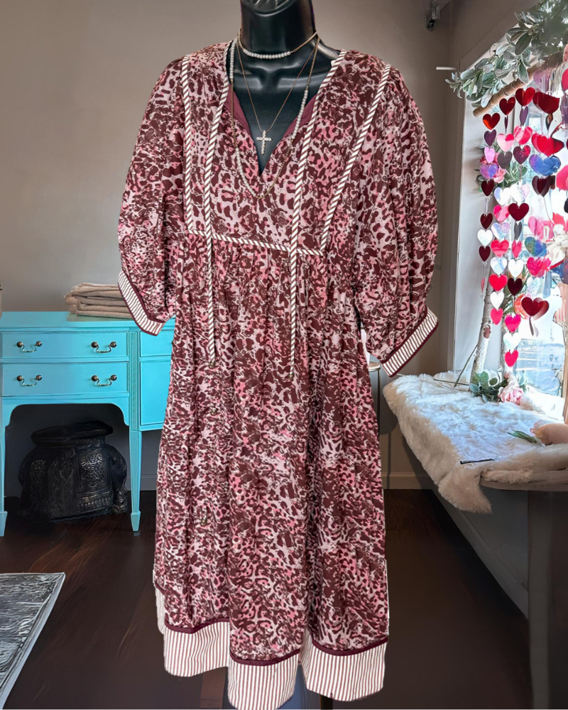 Leopard Stripe Trim V-neck Dress