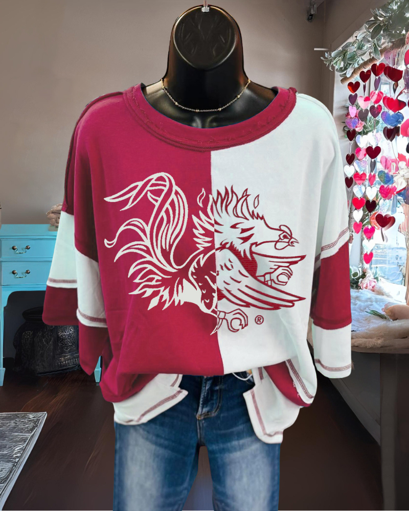 Carolina Gamecocks Colorblock T-shirt