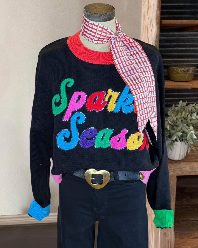 Sparkle Season Embroidered Top