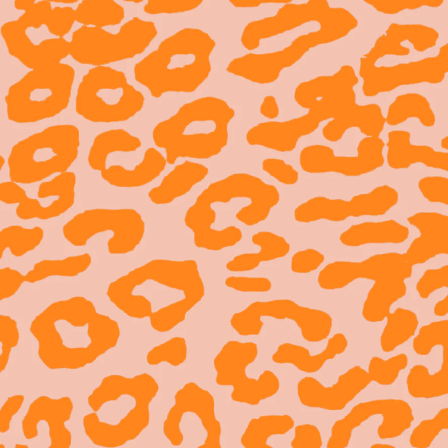 Leopard Print Crew Neck Sweatshirt